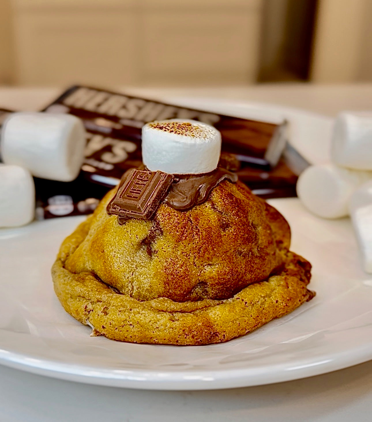 S'mores Please image 0