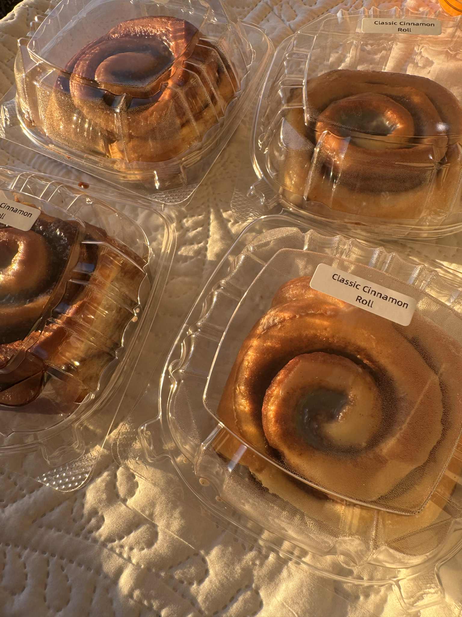 Classic Cinnamon Roll image 0